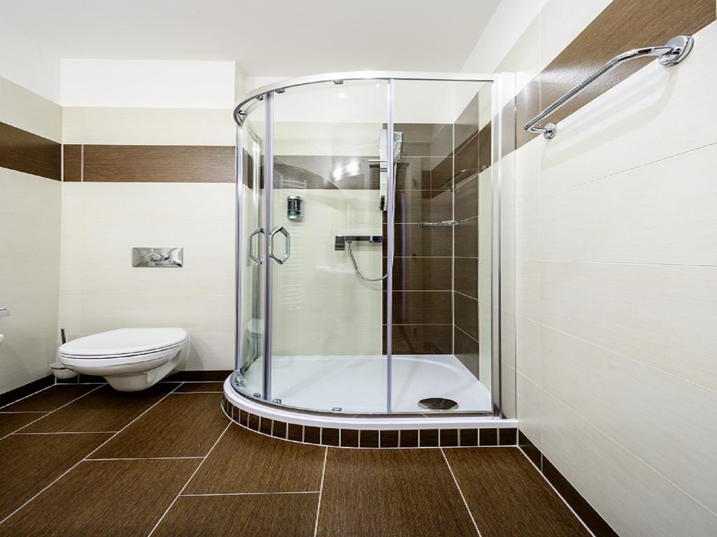 Alexander Hotel Stribro Room photo